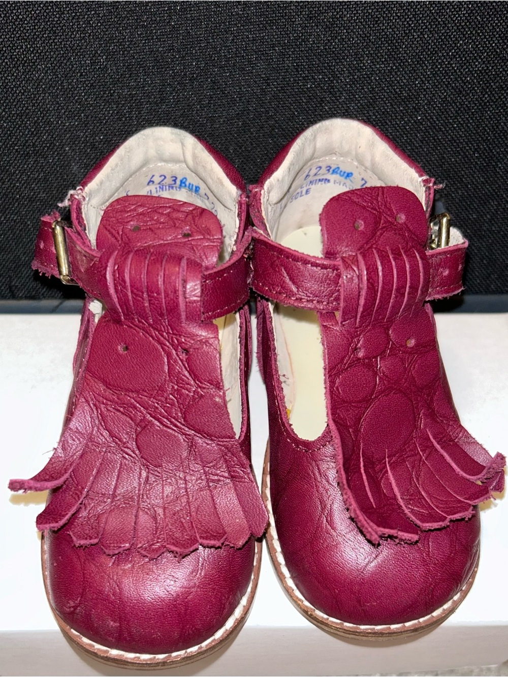 Kids Burgundy Leather Fringe Mary Jane Shoes